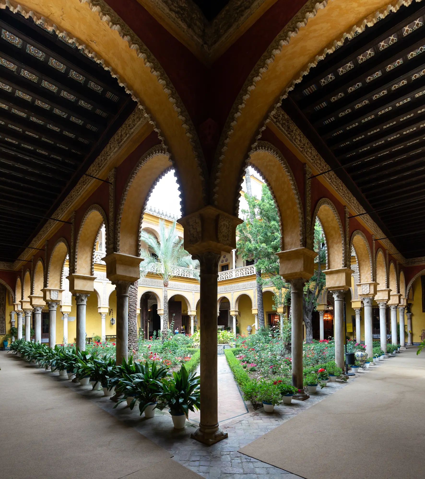 ELM - Cayetana Grande de España eshibition