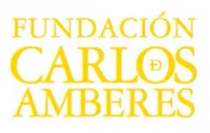 ELM - Fundación Carlos de Amberes